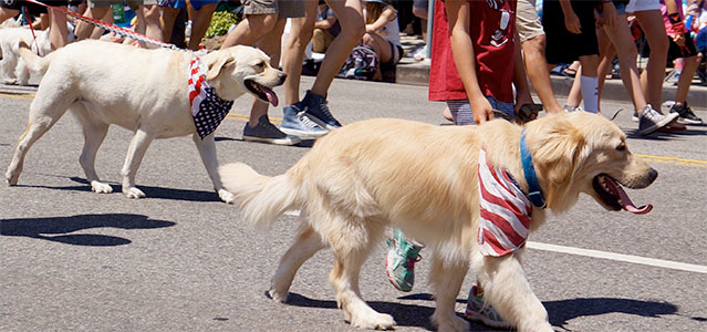 July 4th Parade