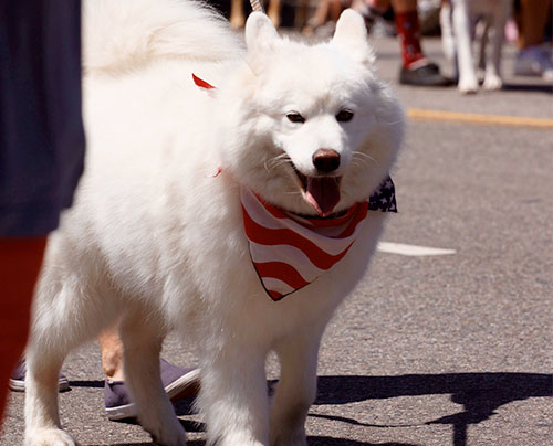 July 4th Parade