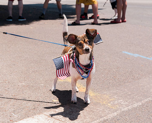 July 4th Parade
